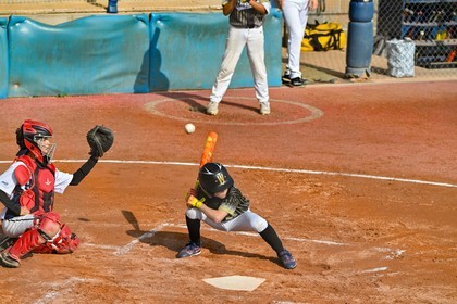 photo baseball