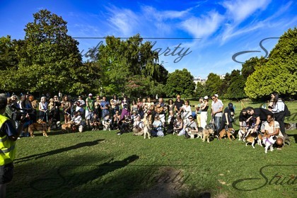 photo baseball