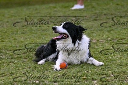 photo baseball