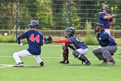 DSC_2010.jpg