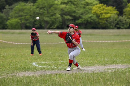 SDF-VS-CERGY