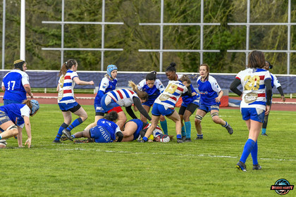 photo sans montage