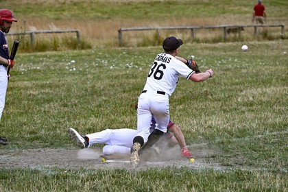 DSC_0784.jpg