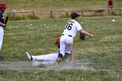 DSC_0785.jpg