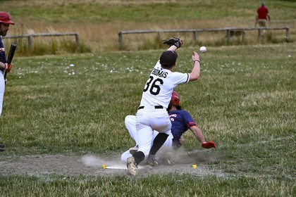 DSC_0782.jpg