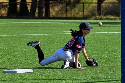 photo baseball