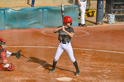 photo baseball
